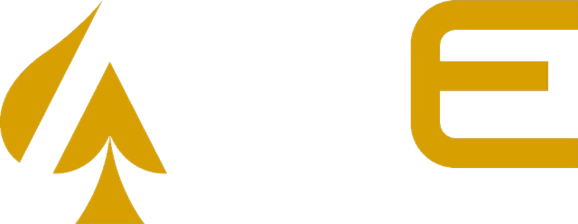 Ace Concrete Solutions